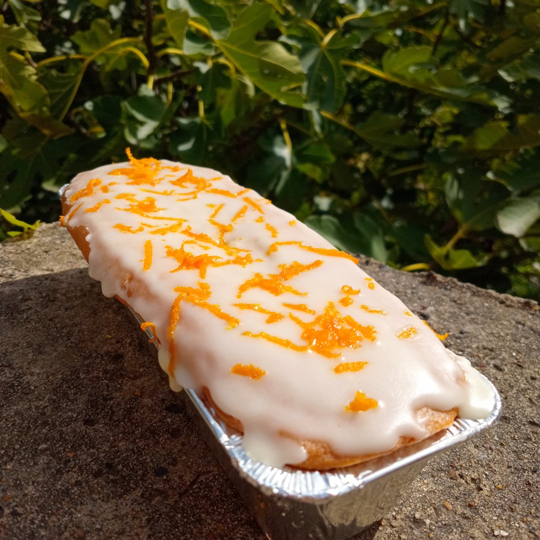 BUDIN común