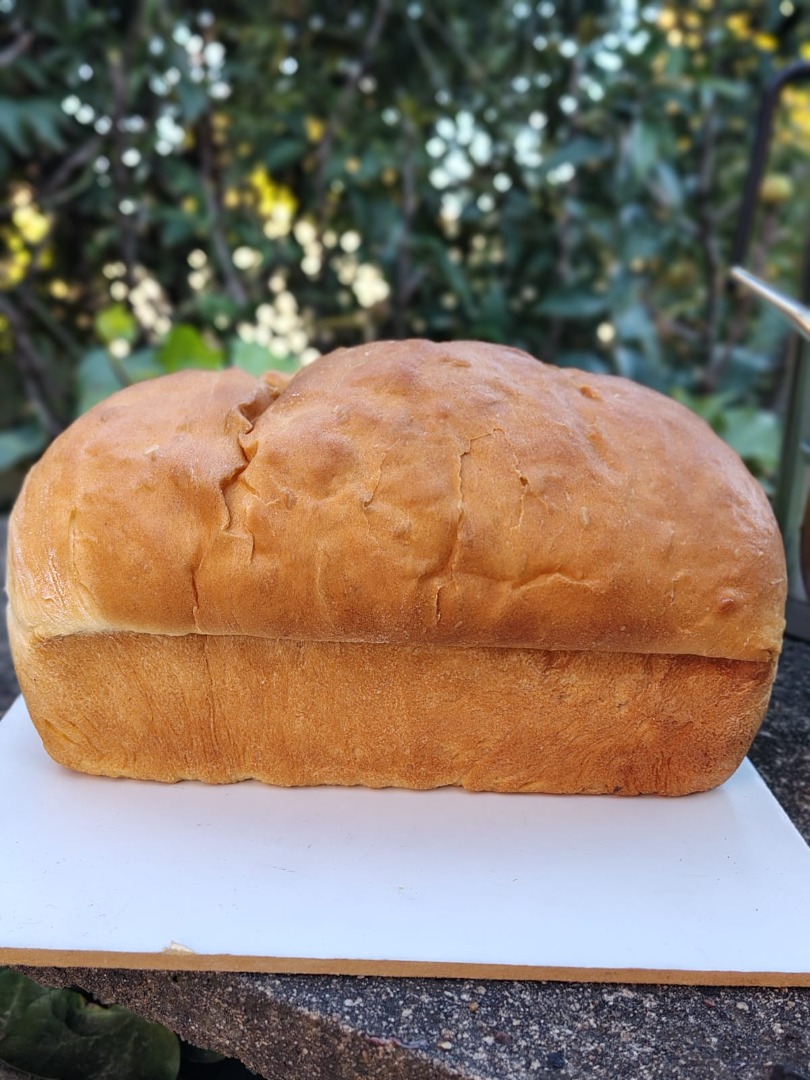 PAN de molde